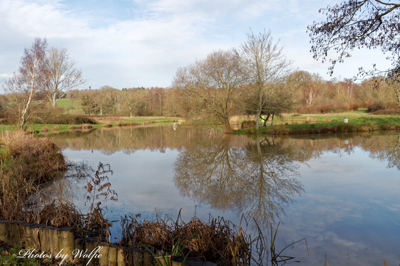 Penshurst Trout Fishing Lakes